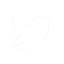 Twitter Login